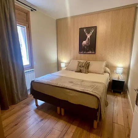Apartment Cal Querol 1 - Centre Puigcerda