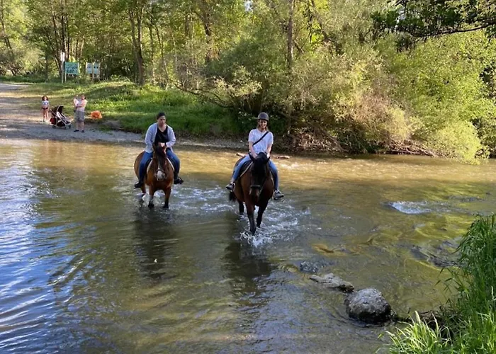 公寓 Cal Querol 1 - Centre