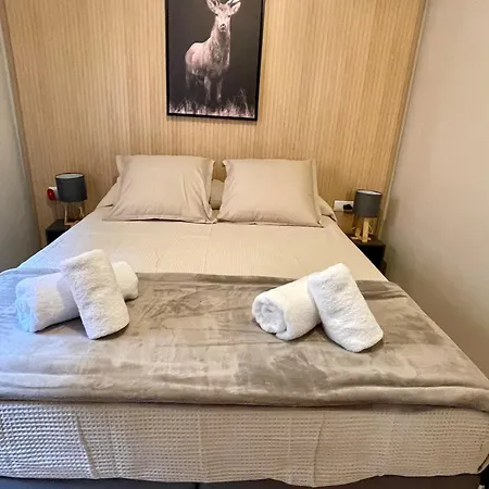 Apartmán Cal Querol 1 - Centre Puigcerdà